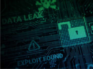 Babuk ransomware group logo