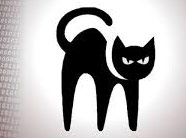 BlackCat ransomware group logo