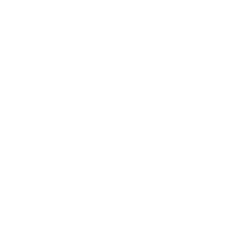 Data security icon