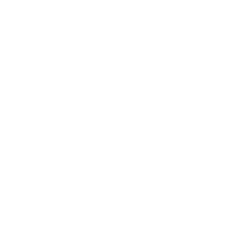Commitment-free diagnosis icon