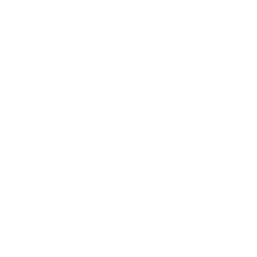 Integrity verification icon